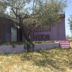Alex's Studio Διαμέρισμα Καρτερός